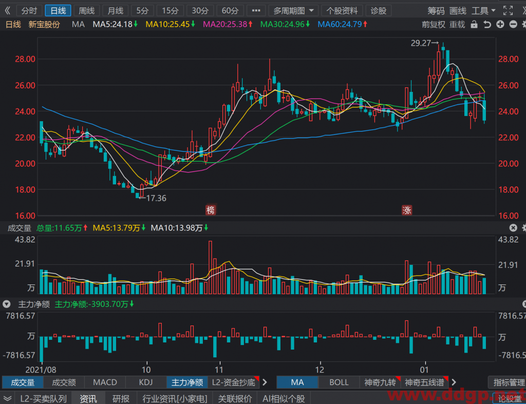 新宝股份过去一年的股价表现